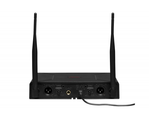 Радіосистема DV audio BGX-24 з петличними мікрофонами