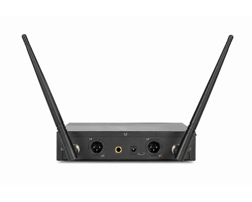 Радіосистема DV audio MGX-224 два ручних мікрофони