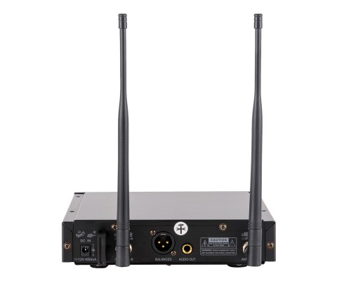 Радіосистема DV audio WMS-12T з гарнітурою